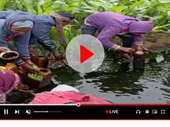 खगड़िया में खेत से अचानक निकलने लगा कुछ ऐसा, कड़ाके की ठंड में लूटने पहुंचे ग्रामीण, पुलिस आई तो वो भी हैरान