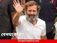 ‘ভাগ করে নিতে চাই যন্ত্রণা’... কনকনে ঠান্ডায় শুধু টি-শার্ট পরে হাঁটা, কারণ জানালেন রাহুল