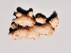 Immunity Booster: हिवाळ्यात या 5 प्रकारे अद्रकाचा वापर करा, प्रतिकारशक्ती वाढेल!