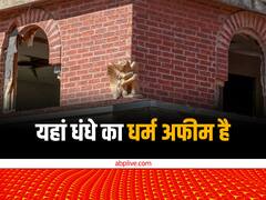 ड्रग्स, पैसा और नशे का कारोबार..., अफगानिस्तान से लेकर मेक्सिको तक चलती है 'अफीम इकोनॉमी'