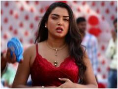 Amrapali Dubey Birthday: क्या 'निरहुआ' की रियल वाइफ हैं आम्रपाली दुबे? बर्थडे पर जानें उनकी जिंदगी की सबसे बड़ी हकीकत