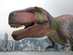 डायनासोर के मल में मिला चावल का अवशेष, चीन के दावे का निकल सकता है दम