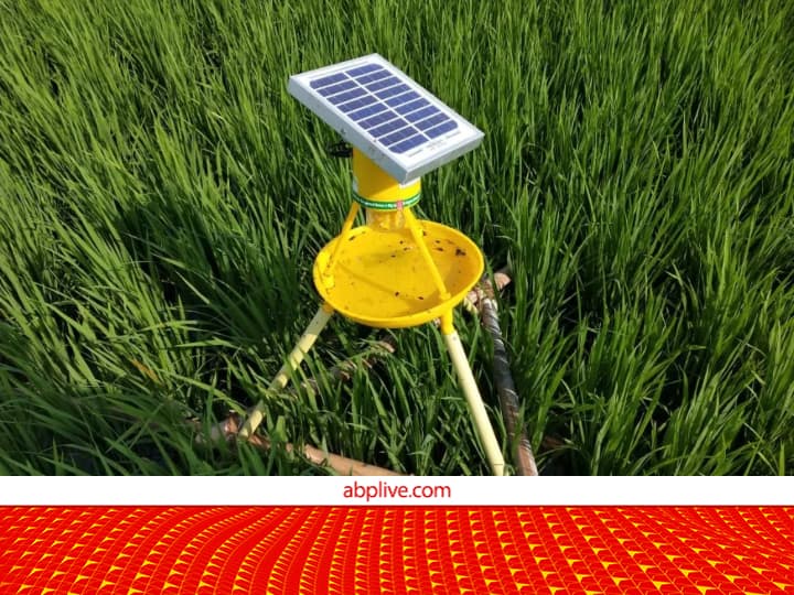 Farmers Scheme 75 percent subsidy on installation of solar LED light trap in the fields for Pest Control किसानों के लिए सुनहरा मौका! खेत में लगवाएं सोलर LED लाइट ट्रैप, यहां 75% सब्सिडी दे रही सरकार