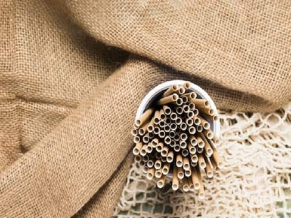 તમે આ વ્યવસાય દ્વારા દર મહિને 50 થી 60 હજાર રૂપિયા કમાઈ શકો છો. (PC: Freepik)