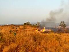 Ratnagiri News: दापोलीतील आंजर्ले परिसरात भीषण वणवा; 30 बागा जळून खाक