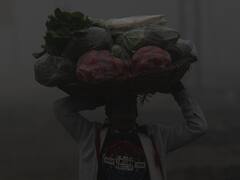 छत्तीसगढ़ में जनवरी में बढ़ जाता है ठंड का सितम, पिछले 10 सालों में कुछ ऐसा रहा तापमान