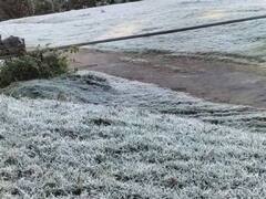 TN Weather Update: ஊட்டியில் உறைபனி.. குறைந்து வரும் வெப்பநிலை.. பிற மாவட்டங்களின் வானிலை அப்டேட் இதோ..