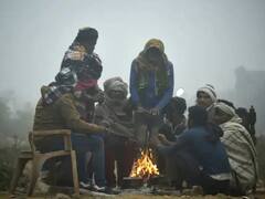 पारा घसरला, महाराष्ट्र गारठला; वाचा कोणत्या जिल्ह्यात किती तापमान? 