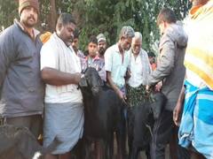 தருமபுரி:  நல்லம்பள்ளி வாரச் சந்தையில் ஆடுகள் சுமார் ரூ. 2 கோடிக்கு விற்பனை