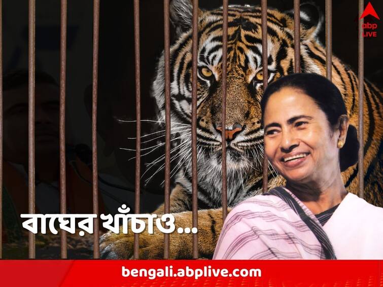 Mamata Banerjee says her government built the cage for tigers in Alipore Zoo with AC installed Mamata Banerjee: চিড়িয়াখানায় বাঘের এসি বসানো খাঁচাও তাঁর তৈরি, জানালেন মমতা