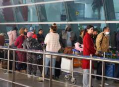 ਦਿੱਲੀ ਏਅਰਪੋਰਟ 'ਤੇ ਖੁੱਲ੍ਹੇ 'ਚ ਪਿਸ਼ਾਬ ਕਰ ਰਿਹਾ ਸੀ ਸ਼ਖਸ , ਜਦੋਂ ਯਾਤਰੀਆਂ ਨੇ ਰੋਕਿਆ ਤਾਂ ਕੀਤਾ ਹੰਗਾਮਾ , ਮਗਰੋਂ ਪੁਲਿਸ ਨੇ ਕੀਤਾ ਗ੍ਰਿਫਤਾਰ