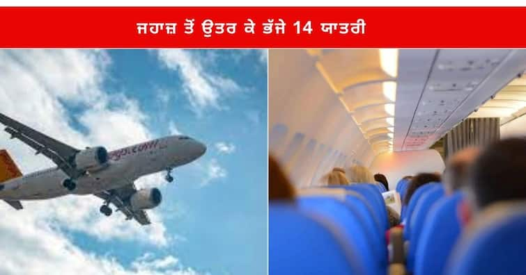 Flight Emergency Landing :  Spain 14 Passengers escaped after Plane Emergency landing Forced by Woman about to give birth ਯਾਤਰੀਆਂ ਨੇ ਸਾਜ਼ਿਸ਼ ਤਹਿਤ ਕਰਵਾਈ ਫਲਾਈਟ ਦੀ ਐਮਰਜੈਂਸੀ ਲੈਂਡਿੰਗ, ਜਹਾਜ਼ ਤੋਂ ਉਤਰ ਕੇ ਭੱਜੇ 14 ਯਾਤਰੀ , ਜਾਣੋ ਪੂਰਾ ਮਾਮਲਾ