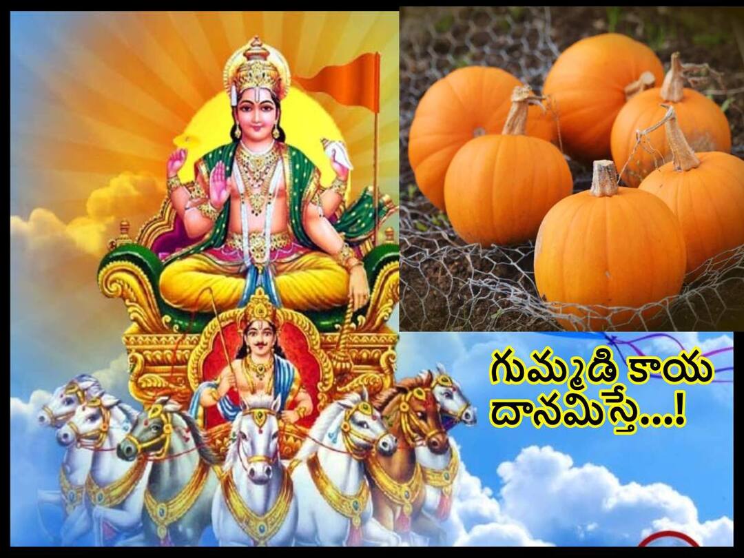 Sankranti Daanam 2023: What is the relation of gummadi and Varaha roopam, why is it donated on Sankranti day, know in telugu Sankranti Daanam 2023: సంక్రాంతి రోజు గుమ్మడికాయ ఎందుకు దానమిస్తారు!