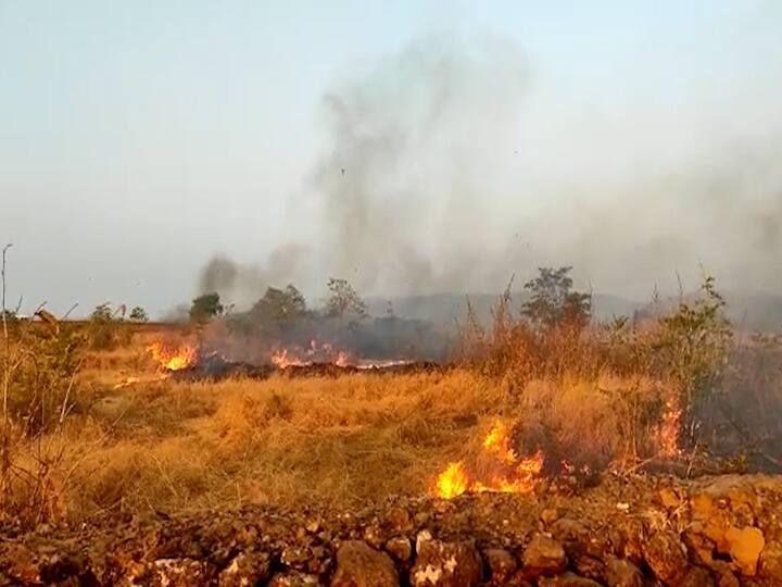 Severe Wildfire in Anjarle: दापोली तालुक्यातील आंजर्लेमध्ये काल (मंगळवारी) संध्याकाळी भीषण आग लागली असून या आगीत 30 बागा जळून खाक झाल्या आहेत.