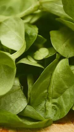 Health Tips : हिवाळ्यात जास्त पालक खाणं आरोग्यासाठी धोकादायक!