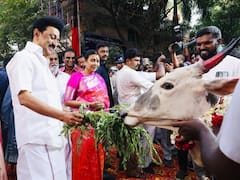 CM Stalin: