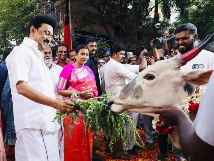 முதலமைச்சர் ஸ்டாலின் தனது சொந்த தொகுதியான கொளத்தூரில் நடைபெற்ற பொங்கள் விழாவில் பங்கேற்று நலத்திட்ட உதவிகளை வழங்கினார்.