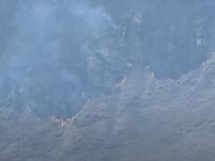 जोशीमठ के ऊपर आई एक और आपदा, धधक रहे पास के जंगल, सर्दी में आग लगने से उठे सवाल