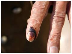 Delhi Mayor Election Likely To Be Held On January 30