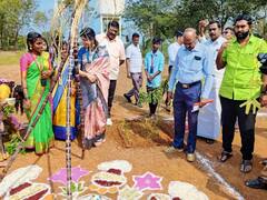 பிரம்மாண்டம் 736 பானைகள்..! பாரம்பரிய பொங்கல் திருவிழா: சௌமியா அன்புமணி பங்கேற்பு..!