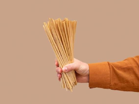 ખાદી અને ગ્રામોદ્યોગ કમિશન (KVIC) ના અહેવાલ મુજબ, કાગળના સ્ટ્રો બનાવવા માટે ફેક્ટરી સ્થાપવા માટે તમને રૂ. 20 લાખનો ખર્ચ થશે, જેમાંથી રૂ. 14 લાખ બેન્ક પાસેથી લોન આપવામાં આવશે. (PC: Freepik)