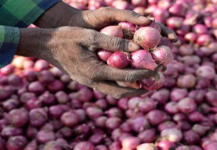 Onion Price drops Inflow of onion increased in Navi Mumbai APMC market farmers suffer big loss due to fall in price Onion Rs 7 per kg Onion Price : नवी मुंबई एपीएमसी मार्केटमध्ये कांद्याची आवक वाढली, दर घसरल्याने शेतकऱ्यांचं मोठं नुकसान