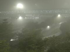 Delhi cold wave: டெல்லியை சூழ்ந்துள்ள பனிமூட்டத்தின் புகைப்படங்கள்...