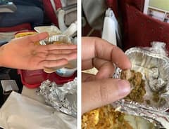 Stone in Air India flight's meal: ਏਅਰ ਇੰਡੀਆ ਦੀ ਫਲਾਈਟ ਦੇ ਖਾਣੇ 'ਚ ਮਿਲਿਆ ਕੰਕਰ, ਮਾਫੀ ਮੰਗ ਕੇ ਜਾਨ ਛੁਡਾਈ
