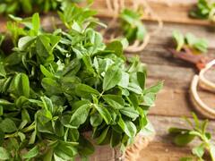 केमिकल बेस्ड हेयर कलर को कहिए अलविदा, मेथी के पत्तों से बनाइए बालों के लिए नेचुरल कलर