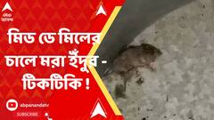 Midday Meal: মিড ডে মিলের চালের ড্রামে মরা ইঁদুর ও টিকটিকি !