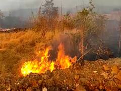 Ratnagiri News: दापोलीतील आंजर्ले परिसरात भीषण वणवा; 30 बागा जळून खाक
