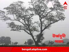 পশ্চিমী ঝঞ্ঝার দাপট, ঝোড়ো ইনিংসে আপাতত দাঁড়ি শীতের !