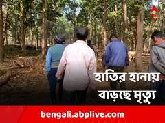 হাতির হানায় বাড়ছে মৃত্যু, উত্তরবঙ্গে পাঠানোর তোড়জোড় বন দফতরের