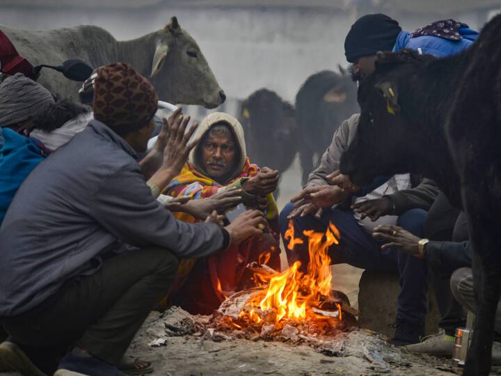 Weather Update imd issue rail fall alert maharashtra mumbai temperature drop latest update cool weather Weather Update : नोव्हेंबर महिन्यात गारठा कमी, थंडीचा जोर केव्हा वाढणार? हवामान खात्याने वर्तवला अंदाज