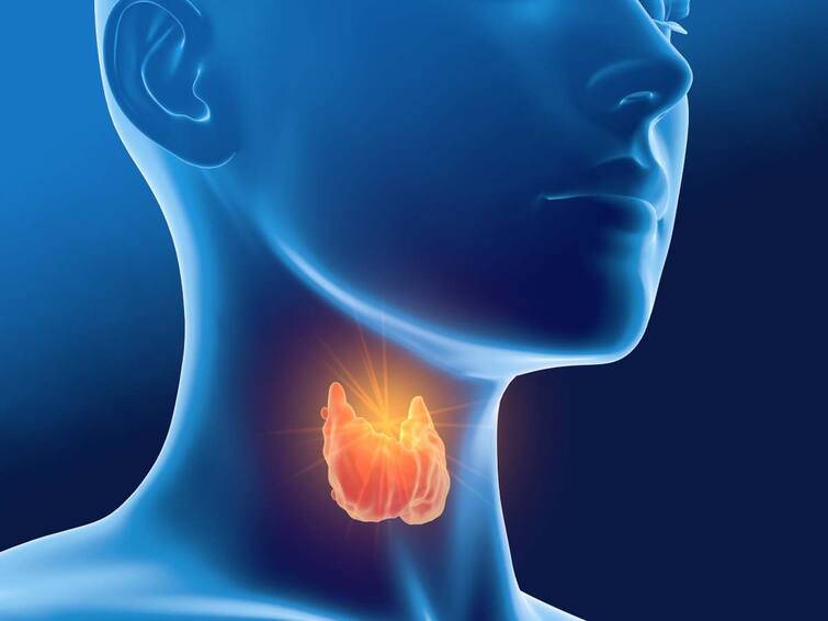 seen in the body can be symptoms of thyroid વાળ ખરવા અને વજન ઘટવાને ન કરો નજરઅંદાજ, હોય શકે છે થાઈરોઈડના લક્ષણો 