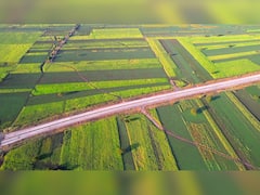 शेतीला बांध नसणारं गाव, महाराष्ट्रातील अनोख्या गावाची सर्वत्र चर्चा; काय आहे शेकडो वर्षाची परंपरा