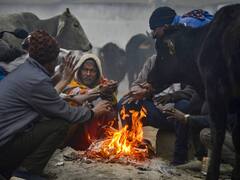 मध्य प्रदेश में कम हो रहा है सर्दी और कोहरे का सितम, जानिए कब से फिर सता सकती है कड़ाके की सर्दी