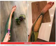 Video: Artist ਦਾ ਹੁਨਰ ਵੇਖ ਕੇ ਯੂਜ਼ਰਸ ਦਾ ਗੁੰਮਿਆ ਦਿਮਾਗ, ਅਸਲੀ ਤੇ ਨਕਲੀ 'ਚ ਫਰਕ ਕਰਨਾ ਹੋਇਆ ਮੁਸ਼ਕਲ