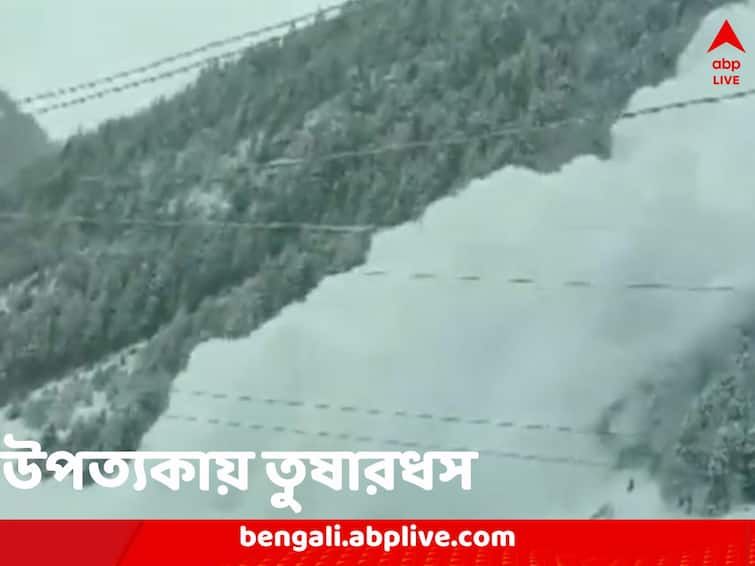 Snow Avalanche Hits Near Sonamarg Jammu Kashmir One Labourer Killed Many Missing Avalanche Video Avalanche in Jammu Kashmir: হুড়মুড়িয়ে নেমে এল তুষারের স্তূপ, চাপা পড়ে মৃত্যু শ্রমিকের, কাশ্মীরে হিমাঙ্কের নিচে তাপমাত্রা