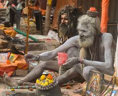 Makar Sankranti Weather: নিরাপত্তায় জোর, গঙ্গাসাগরের পথে পুণ্যার্থীরা, মকর সংক্রান্তিতে কেমন থাকবে আবহাওয়া?