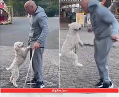 हैरतअंगेज करतब कर डॉगी का नाम गिनीज वर्ल्ड बुक में हुआ दर्ज, आप भी देखें वीडियो