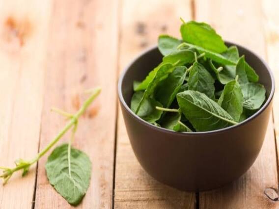 Tulsi Leaves Benefits: कई बीमारियां में 'जादू' जैसा काम करती है तुलसी की पत्तियां, इस तरह उपयोग करें Tulsi Leaves Benefits: कई बीमारियां में 'जादू' जैसा काम करती है तुलसी की पत्तियां, इस तरह उपयोग करें