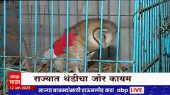 Nashik Winter : नाशिकमध्ये तापमानात घट, कडाक्याच्या थंडीत मुक्या जीवांसाठी वनविभागाकडून उपाय योजना