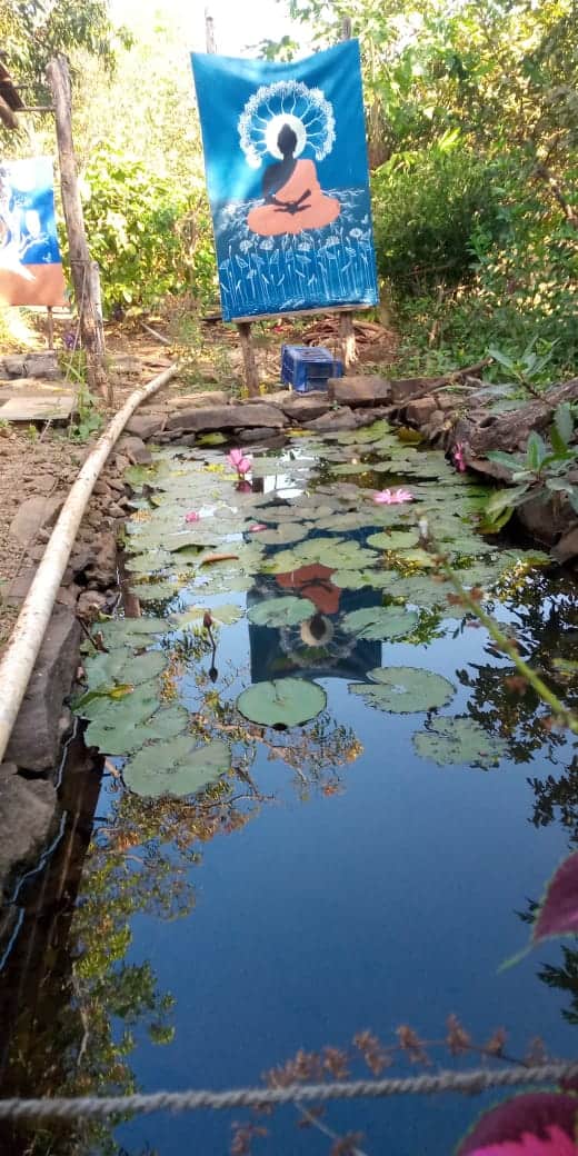 नाशिक जिल्ह्यातील सुरगाणा तालुक्यातील गारमाळ येथील हर्षद थविल या शिक्षित तरुणाने सुरगाणासारख्या आदिवासी भागातून येऊन बीई मेकनिकल केले, परंतु पहिल्यापासूनच गावातच काहीतरी करण्याचा निश्चय केलेल्या हर्षल मॅकेनिकल इंजिनिअरिंग पूर्ण केले. मात्र गावाकडच्या मातीची ओढ स्वस्थ बसू देत नव्हती. अखेर इंजिनिअरिंग झाल्यानं हर्षद पुन्हा गावी परतला.