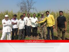 'शिट्टी बजाव, बिबट्या भगाव'; वनविभागाचा गावकऱ्यांना अजब सल्ला