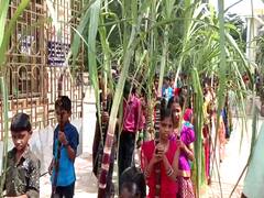 Pongal 2023: மயிலாடுதுறை மாவட்டத்தில் பல்வேறு இடங்களில் களைகட்டிய பொங்கல் பண்டிகை