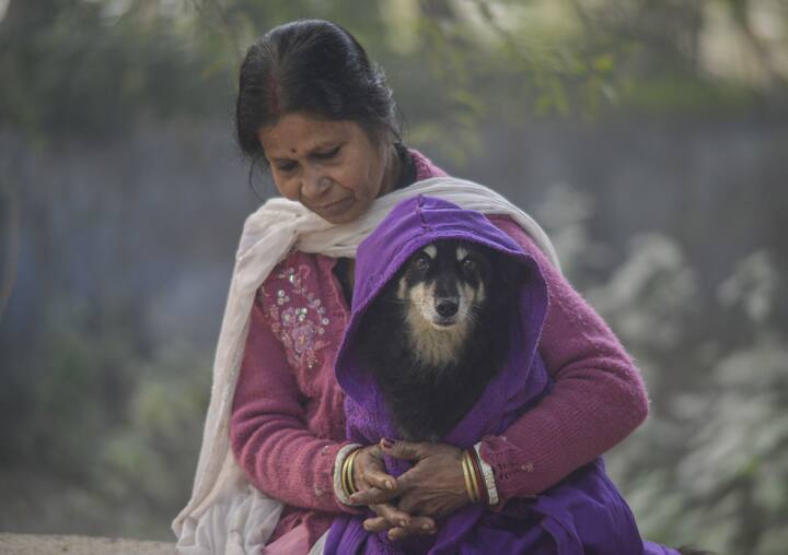 बातमी थंडीची... उत्तर भारतात पारा प्रचंड घसरलाय... आणि तो आणखी खाली जाण्याची शक्यता आहे... पुढील आठवडाभर थंडीत अधिक वाढ होण्याची शक्यता असल्याची माहिती हवामान विभागानं दिलीे...