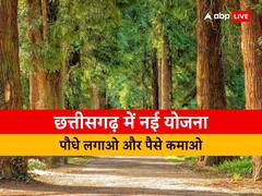 छत्तीसगढ़ में नई योजना: पौधे लगाओ और पैसे कमाओ, जानें कितने एकड़ में पौधे लगाने पर कितना अनुदान देगी सरकार