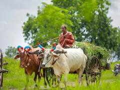 छत्तीसगढ़ में पहली बार मिल रहा बिना ब्याज के फसल ऋण, जानें अब तक कितने किसानों को मिला फायदा