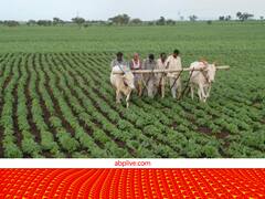 किसानों को मिलेगा इंसाफ, खेती की जमीन पर नहीं होगा कब्जा! मालिकाना हक के लिए ऐसा कानून बनाने जा रही ये सरकार